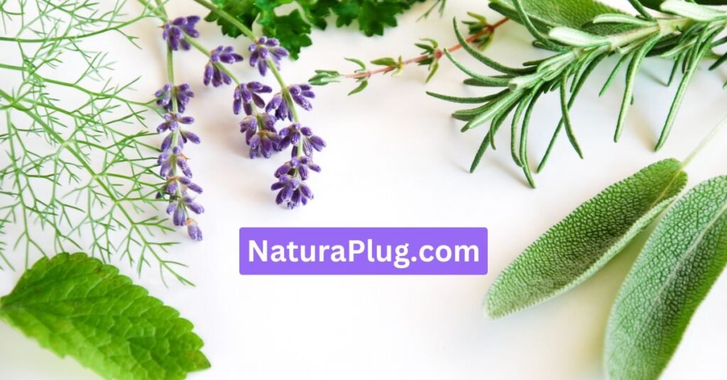 NaturaPlug.com